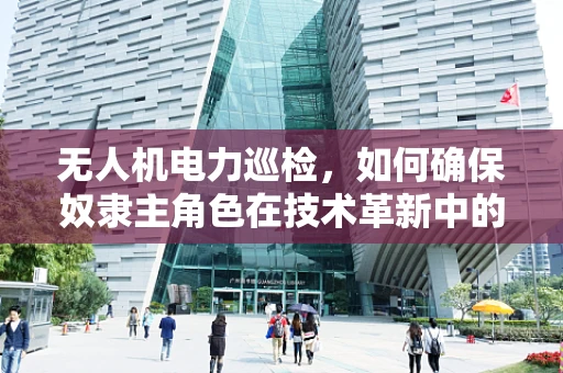 无人机电力巡检，如何确保奴隶主角色在技术革新中的伦理平衡？