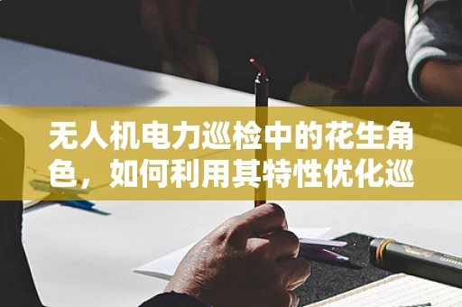 无人机电力巡检中的花生角色，如何利用其特性优化巡检效率？