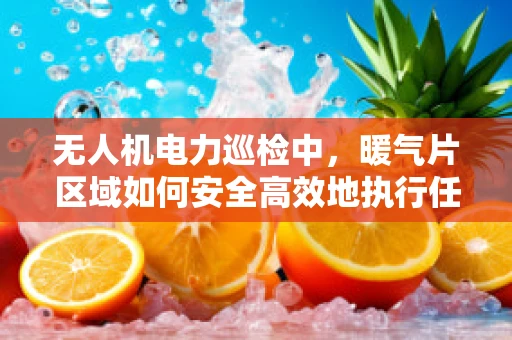 无人机电力巡检中，暖气片区域如何安全高效地执行任务？