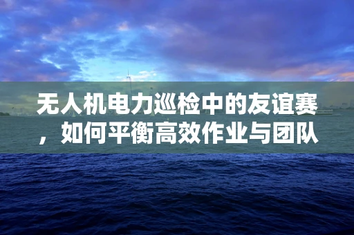 无人机电力巡检中的友谊赛，如何平衡高效作业与团队协作？
