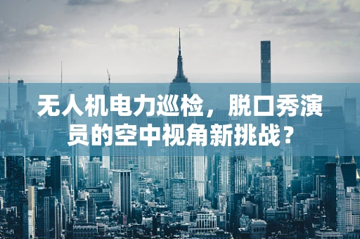 无人机电力巡检，脱口秀演员的空中视角新挑战？
