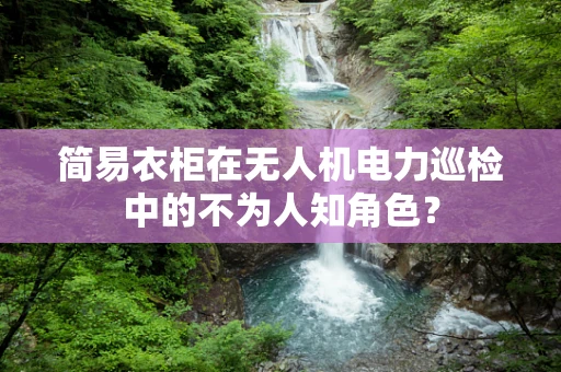 简易衣柜在无人机电力巡检中的不为人知角色？