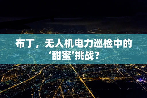 布丁，无人机电力巡检中的‘甜蜜’挑战？