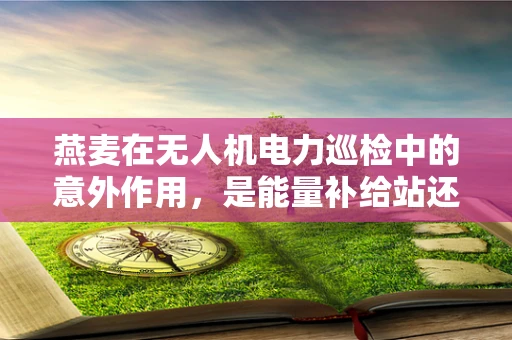 燕麦在无人机电力巡检中的意外作用，是能量补给站还是技术创新的催化剂？