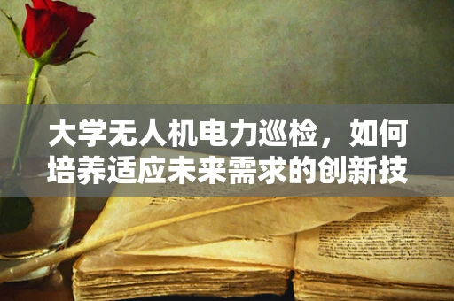 大学无人机电力巡检，如何培养适应未来需求的创新技术人才？