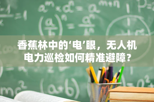 香蕉林中的‘电’眼，无人机电力巡检如何精准避障？