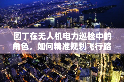 园丁在无人机电力巡检中的角色，如何精准规划飞行路径？