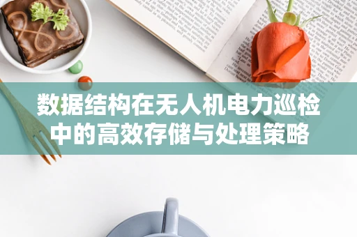数据结构在无人机电力巡检中的高效存储与处理策略