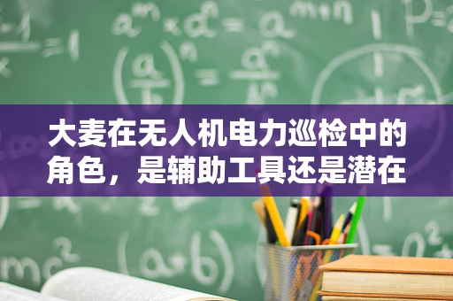 大麦在无人机电力巡检中的角色，是辅助工具还是潜在挑战？