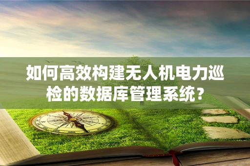 如何高效构建无人机电力巡检的数据库管理系统？