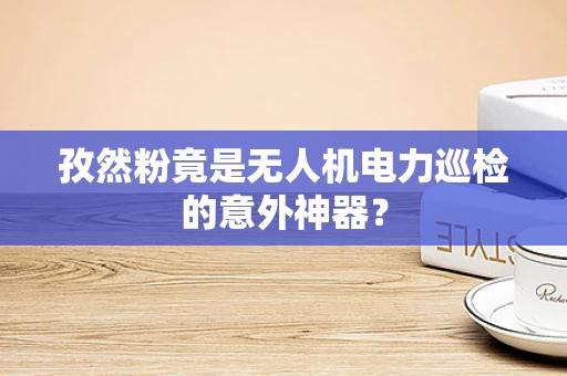 孜然粉竟是无人机电力巡检的意外神器？