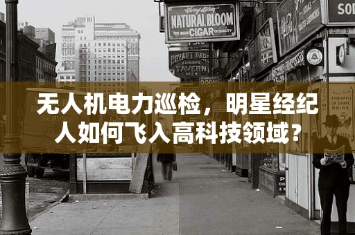 无人机电力巡检，明星经纪人如何飞入高科技领域？