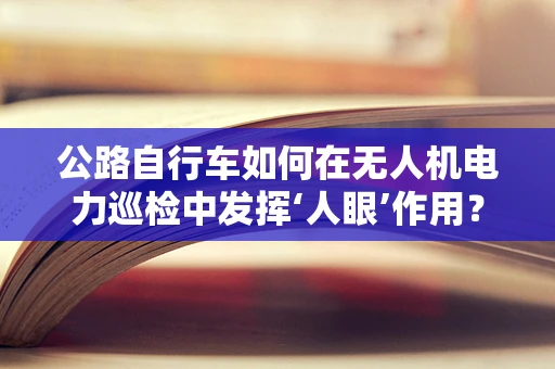 公路自行车如何在无人机电力巡检中发挥‘人眼’作用？