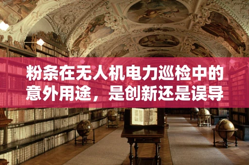粉条在无人机电力巡检中的意外用途，是创新还是误导？
