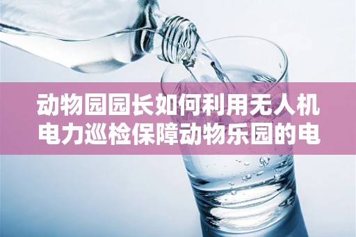 动物园园长如何利用无人机电力巡检保障动物乐园的电力安全？