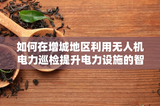 如何在增城地区利用无人机电力巡检提升电力设施的智能监测效率？