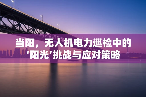 当阳，无人机电力巡检中的‘阳光’挑战与应对策略