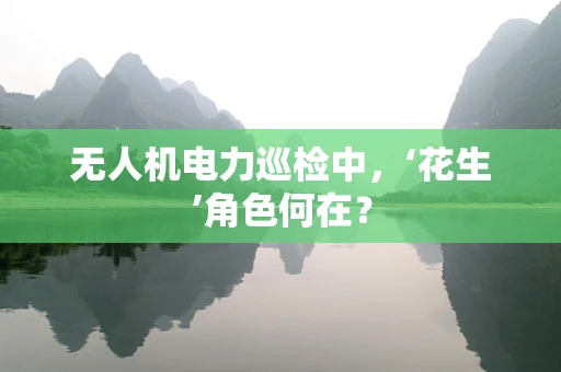 无人机电力巡检中，‘花生’角色何在？