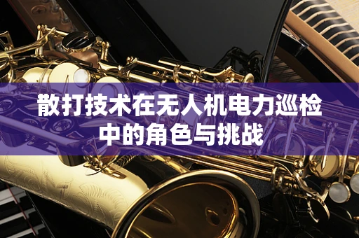 散打技术在无人机电力巡检中的角色与挑战