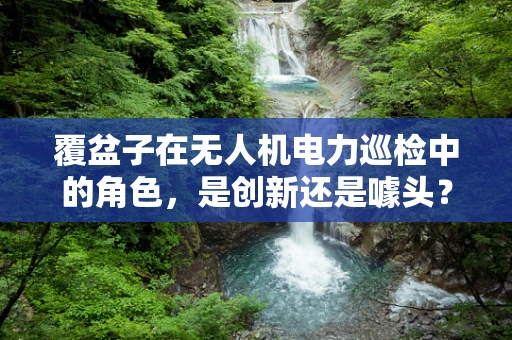 覆盆子在无人机电力巡检中的角色，是创新还是噱头？