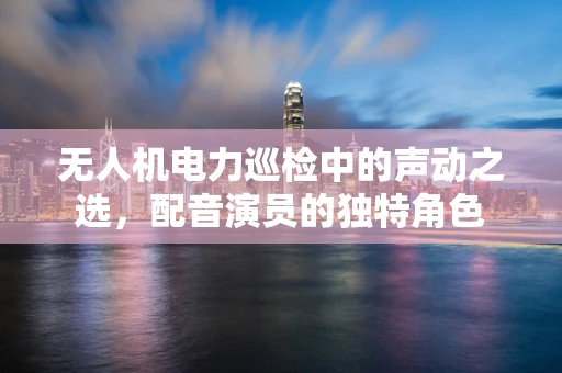 无人机电力巡检中的声动之选，配音演员的独特角色