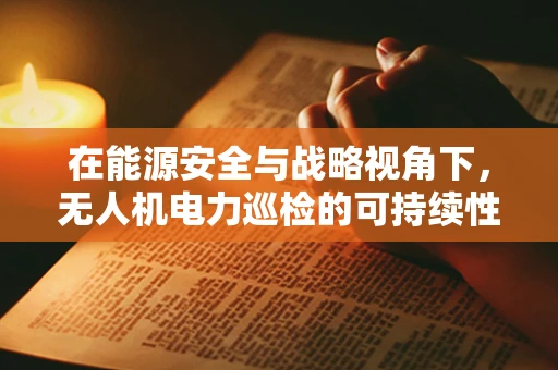 在能源安全与战略视角下，无人机电力巡检的可持续性挑战何在？