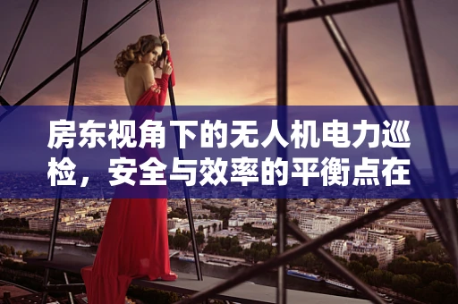 房东视角下的无人机电力巡检，安全与效率的平衡点在哪里？