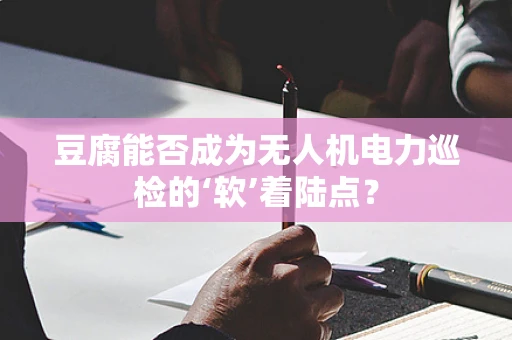 豆腐能否成为无人机电力巡检的‘软’着陆点？