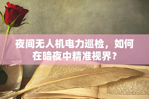 夜间无人机电力巡检，如何在暗夜中精准视界？