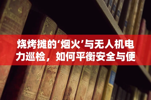 烧烤摊的‘烟火’与无人机电力巡检，如何平衡安全与便利？