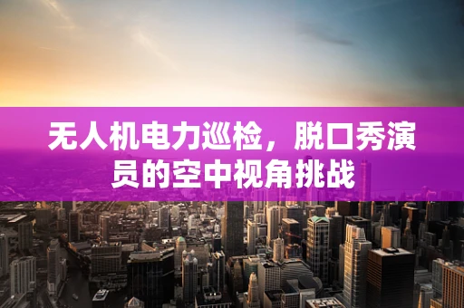 无人机电力巡检，脱口秀演员的空中视角挑战