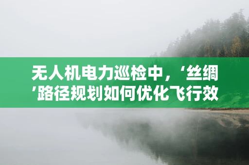 无人机电力巡检中，‘丝绸’路径规划如何优化飞行效率？