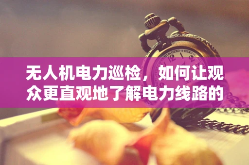 无人机电力巡检，如何让观众更直观地了解电力线路的‘隐形守护者’？