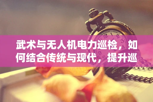 武术与无人机电力巡检，如何结合传统与现代，提升巡检效率？