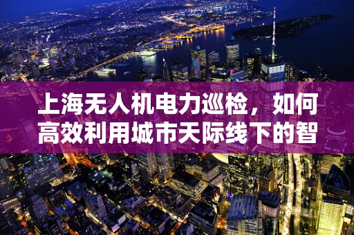 上海无人机电力巡检，如何高效利用城市天际线下的智能‘飞眼’？