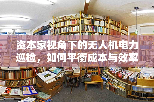 资本家视角下的无人机电力巡检，如何平衡成本与效率的空中博弈？