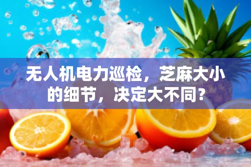 无人机电力巡检，芝麻大小的细节，决定大不同？