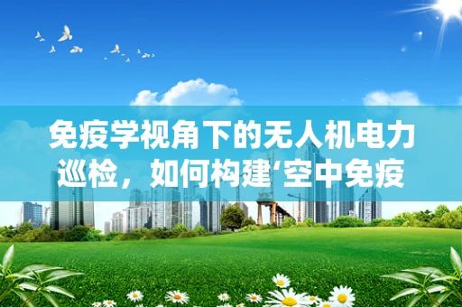 免疫学视角下的无人机电力巡检，如何构建‘空中免疫系统’？