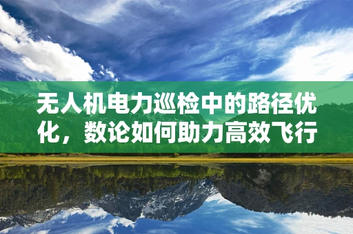 无人机电力巡检中的路径优化，数论如何助力高效飞行？