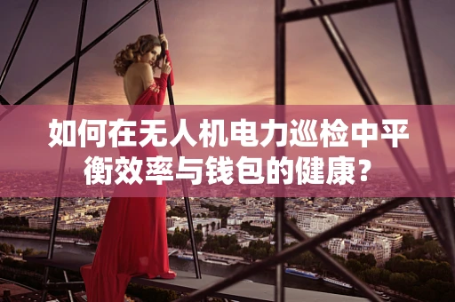 如何在无人机电力巡检中平衡效率与钱包的健康？
