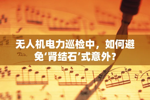 无人机电力巡检中，如何避免‘肾结石’式意外？
