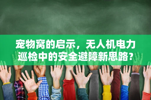 宠物窝的启示，无人机电力巡检中的安全避障新思路？