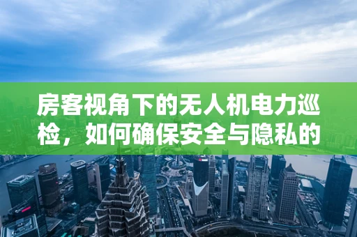 房客视角下的无人机电力巡检，如何确保安全与隐私的双重保障？