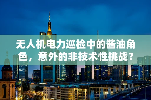 无人机电力巡检中的酱油角色，意外的非技术性挑战？