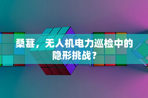 桑葚，无人机电力巡检中的隐形挑战？