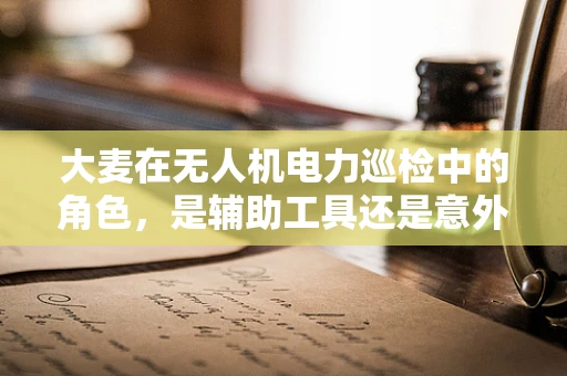 大麦在无人机电力巡检中的角色，是辅助工具还是意外之喜？