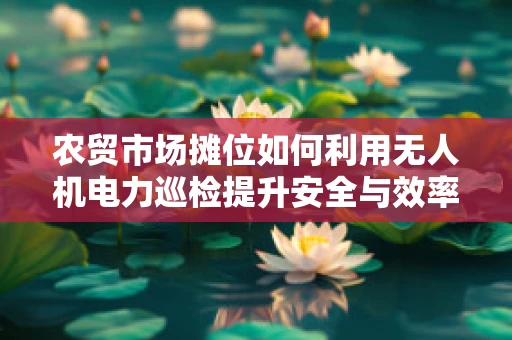 农贸市场摊位如何利用无人机电力巡检提升安全与效率？