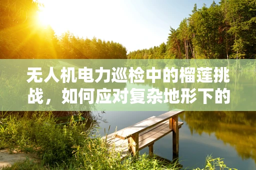 无人机电力巡检中的榴莲挑战，如何应对复杂地形下的电力线障碍？