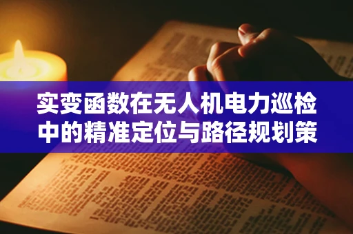 实变函数在无人机电力巡检中的精准定位与路径规划策略