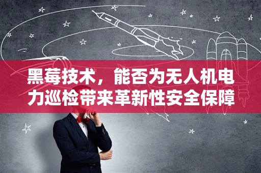 黑莓技术，能否为无人机电力巡检带来革新性安全保障？